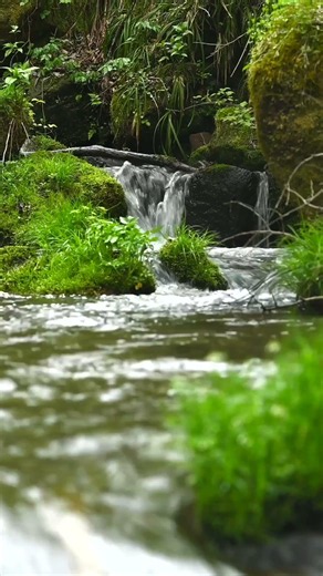 The Gentle Sound of Water