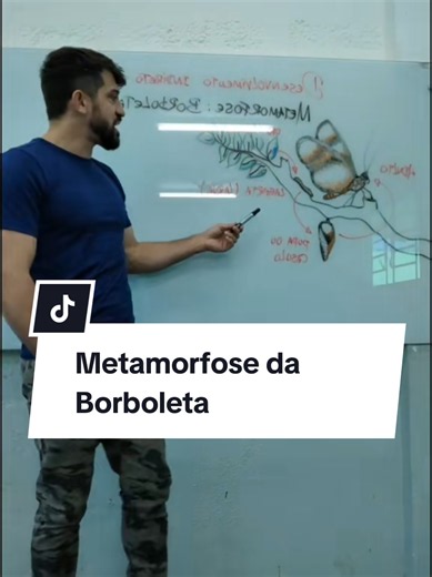 Metamorfose da Borboleta #Metamorfose #aula #Ciências #Borboleta