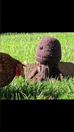 Sackboy with Chickens