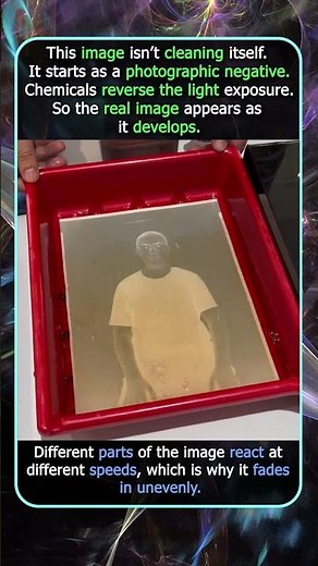 Why This Photo Appears Out Of Nowhere
