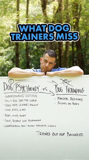 91K views · 1.5K reactions | Why is it that we so many of our clients...