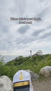 Guess where we’re at! #dogs #lighthouse #meme #ocean #sailor #doggy #funny | MisterMainer