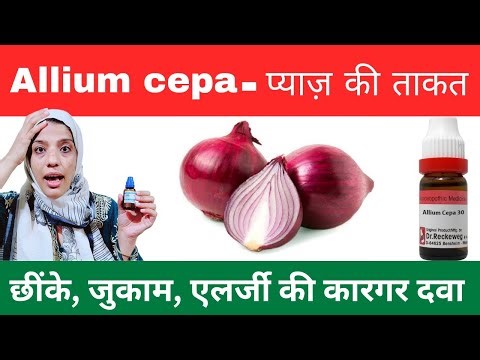Allium cepa 30 ch uses in hindi | Allium cepa 200 uses in hindi