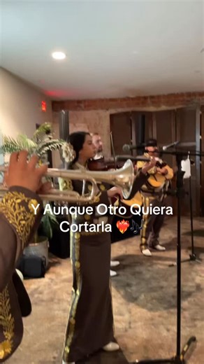 3233142887 Mariachi Aventurero de Los Angeles!!❤️‍🔥🎶🎻👍🏻🎺🎉🌹 #mariachi #losangeles #ontario #jurupavalley #mariachiband #orange #mariachinearme #baldwinpark #elmonte #covina #ranchocucamonga #upland #ontario | Mariachi Aventurero De Los Angeles