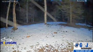 111K views · 1.6K reactions | Check out the lightning + snow ongoing in the Wolverine area! Caught by one of GarJen Technologies LLC cameras! | Michigan Storm Chasers | Facebook