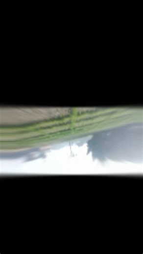 Sumit Blog🥀 on Instagram: "365/23=Din #blogger # training👍🙏👍"