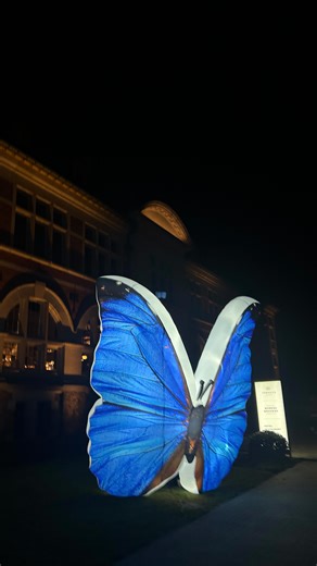 Een lied zegt meer dan 1000 woorden. Gisteren mocht Muzemix Choirs de vaarwelwandeling van @papillon.uitvaartzorg muzikaal afsluiten. Zo konden onze zangers troost bieden aan een kleine 800 familieleden die dit jaar een dierbare verloren. 🫶 #lichtjebranden #suzanenfreek #suzanenfreekcover #koorcover | Muzemix