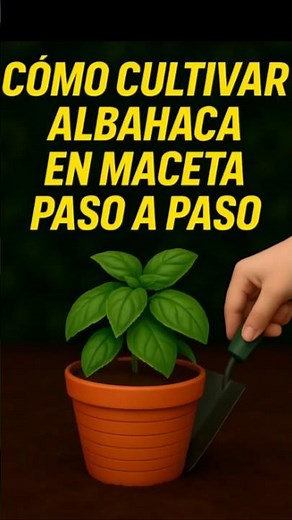 Albahaca en maceta: La guía MÁS FÁCIL para tenerla siempre fresca #plantas #gardenhacks #natural