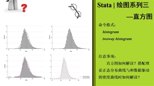 Stata | 绘图系列：直方图