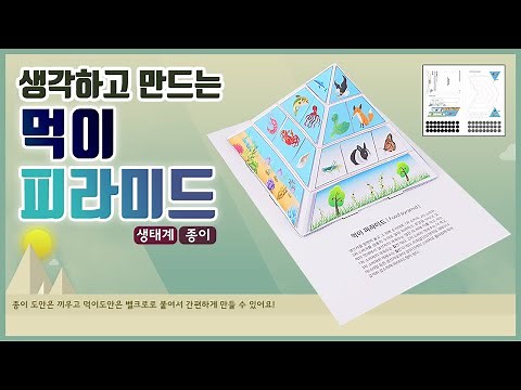 [과학실험] 생각하고 만드는 먹이 피라미드(생태계)(종이)