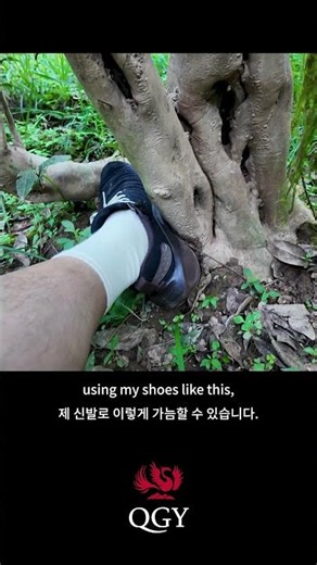 This Is the Tea King of QGY | Wild Century-Old Wuyi Rock Tea Trees #tea #qgytea