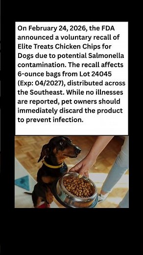 🚨 URGENT RECALL: Check Your Dog’s Treats NOW! 🐾⚠️ #dog #news #shorts