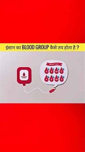 How Is Blood Group Determined? A, B, AB, O & Positive Negative Explained