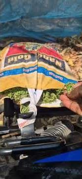 Azolla Valarppu Murai Tamil| Best Vettiveru plant | Magizh Pannai#Azolla #vettiveru #vetivergrass