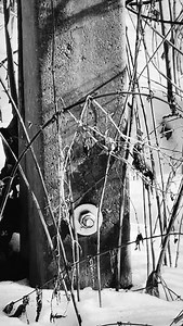 new screws in nature#nature #industry | Vaclav Bond