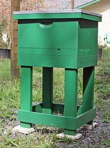 How to start a queen in a two-frame nuc - Honey Bee Suite