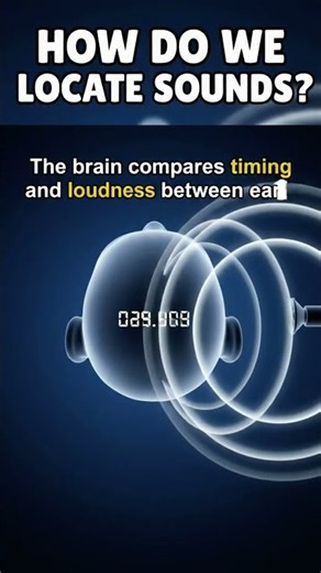How Do We Locate Sound? | The Science of Hearing and Sound Direction Explained
