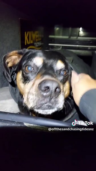 Surfcasting Tips and Techniques in New Zealand