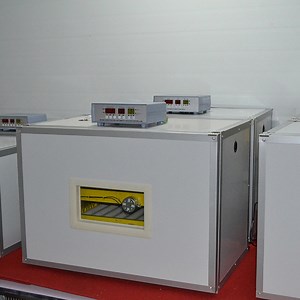 [Hot Item] High Hatching Rate Egg Incubator and Egg Hatcher for Poultry Use