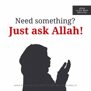 Talk to Allah and tell Him your problems, because only He can solve them