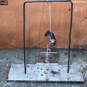 727K views | Mouse Trap Homemade /DIY to make a Mouse Trap easy / Mouse Reject Credit: Mouse Reject - youtu. be/o0rsCnf-5WE | Origin Data Recovery | Facebook