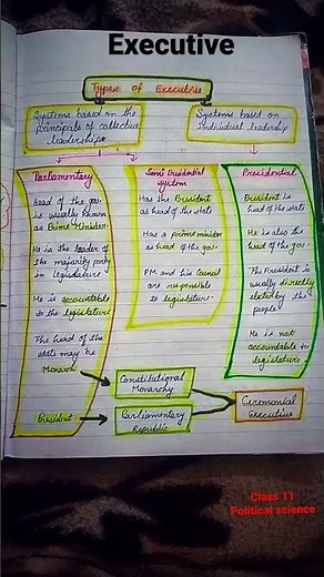 Executive Class 11 Political Science Chapter 4 Handwritten NOTES