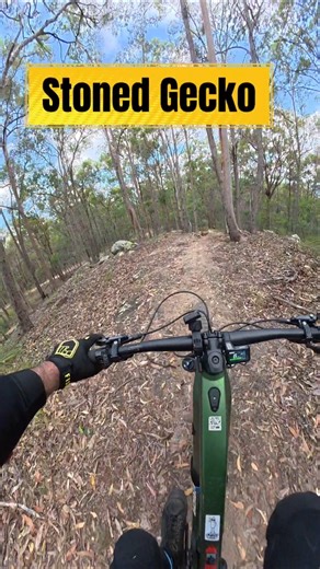 Stoned Gecko Shred: Short & Fun MTB Trail at Spring Mountain! 🔥