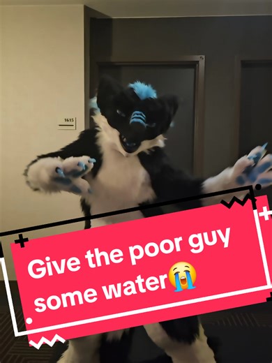 Silly Sergal Moments at Furry Weekend