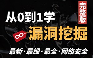 B站首推！2025年最强的漏洞挖掘零基础入门教程，教你从入门到入狱/网络安全/信息安全/渗透测试/src/web安全/漏洞挖掘/kali Linux