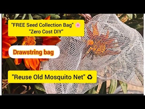 Organic Gardening Trick: Save Your Seeds with this DIY Net Bag! 🌱