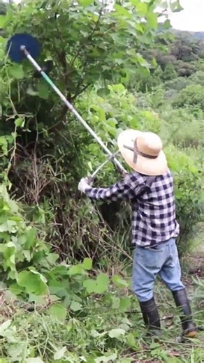【切り抜き】草刈り機作業のコツ連続リズムで効率アップ！便利屋なんでもやが教える3