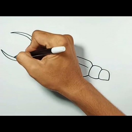 How to draw Earwig #shorts