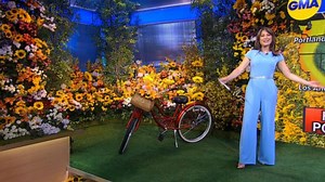 Celebrating the start of spring with latest pollen report