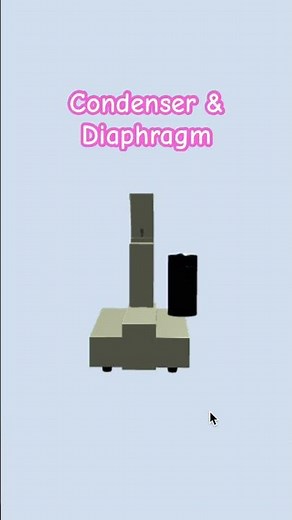 Can you name the parts of the light microscope? #microscope #science #kidsscience #3d #education
