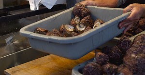 Video by Kindel Media on Pexels