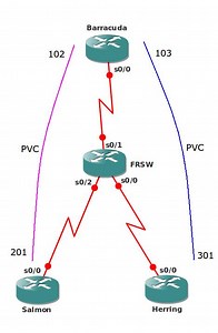 OSPF Over Frame-Relay: Broadcast