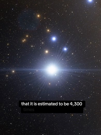 Discovering Stephenson 2-18: The Largest Star Explored