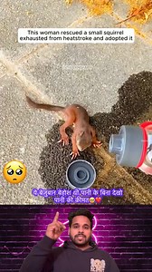 Look At This Little Squirrel🥺 #strayanimals #explore #foryou #explorepage #squirrel #sadness #sad #emotional #squirrellife #fbreels #trendingreels #nature #viralreels | The Helping Hands