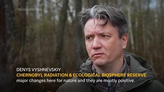 Chernobyl's radioactive landscape testament to nature’s resilience