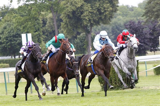 Résultats PMU Prix du Perigord le 10 Mars 2026 - TURF FR