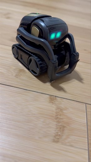 « Cats can run up to 30 Miles per hour ». Just schedule the task and—boom—Vector shows up with cat facts right on cue. Reliable and adorable. 😺 | Digital Dream Labs