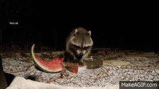 Giant Mouse Trap [Smashes Everything] on Make a GIF