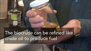 Researchers at Pacific Northwest National Laboratory - PNNL have found a new way to create sustainable biofuel from a unique source. (hint: it could be from what you ate yesterday!) Learn more: http://energy.gov/articles/crude-science | U.S. Department of Energy