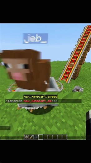 Minecraft Fake Insane Commands Moment 💀