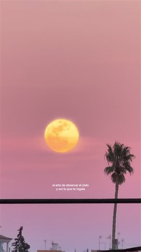 Videos de Ainoa Diaz (@diazainoaa) con “original sound - shixmmy”