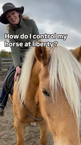 A common mistake I often see is horses being controlled at liberty, either with the rider’s seat or neck rope 🙈 This this is a very difficult way of doing liberty as it requires some major riding skills most of us aren’t possessing 🤠 Another option is to use treats to get the horse to do what we want…. But what do you do when you run out of carrots? A better and simpler way is to connect with your horse by taking the guard (become the treat when training your horse) and make your idea your hor