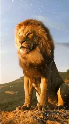 New trailer Lion King 2 The Lion King 2😤😤😤😡😡😡