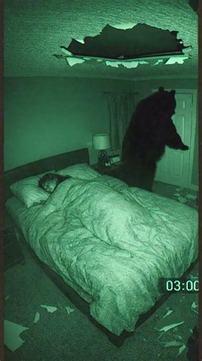 When you're a heavy sleeper level: 100