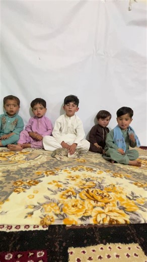 ahmed shah (@ahmed.shah306)’s videos with original sound - ahmed shah