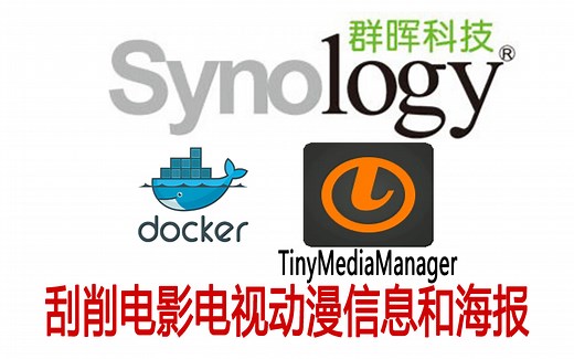 群晖Docker安装TinyMediaManager刮削电影电视动漫综艺信息和海报